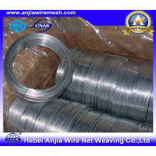 Electro Hot-Inpped Galvanized Wire for Binding with (CE et SGS)